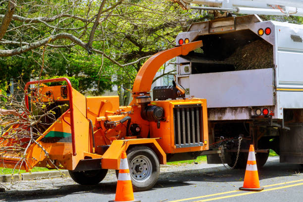 Best Tree Risk Assessment  in Slayton, MN